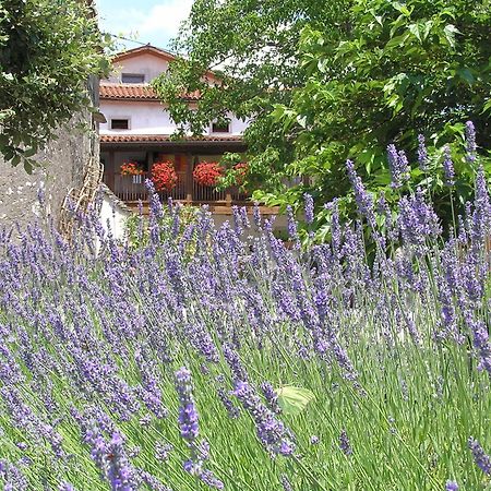 Pliskovica Youth Hostel Exterior photo