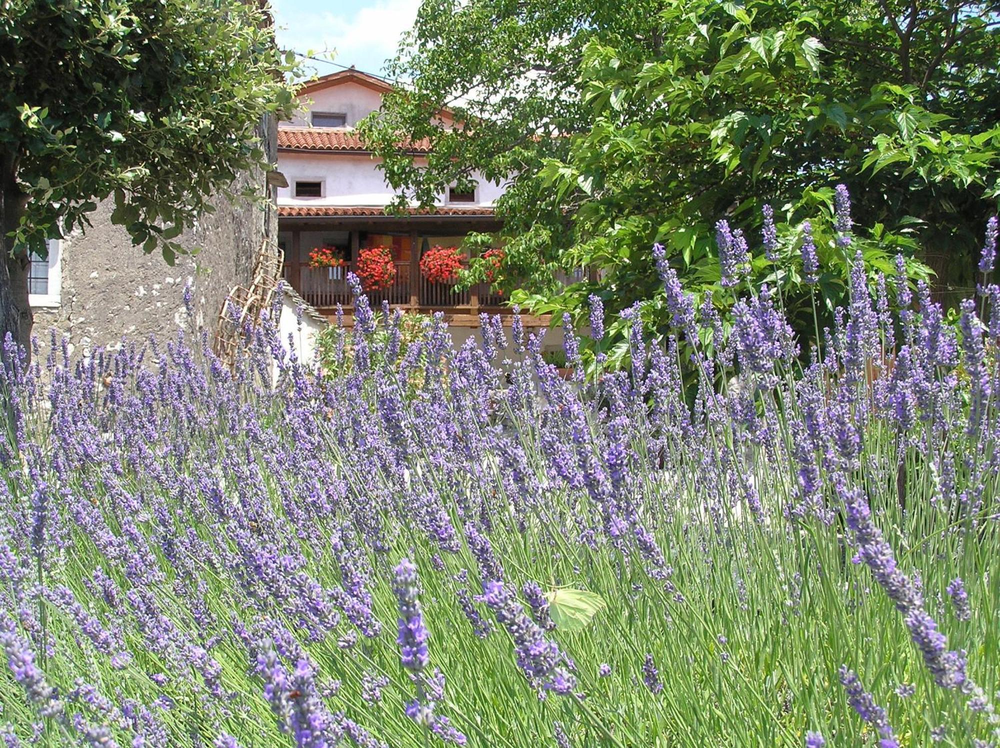 Pliskovica Youth Hostel Exterior photo