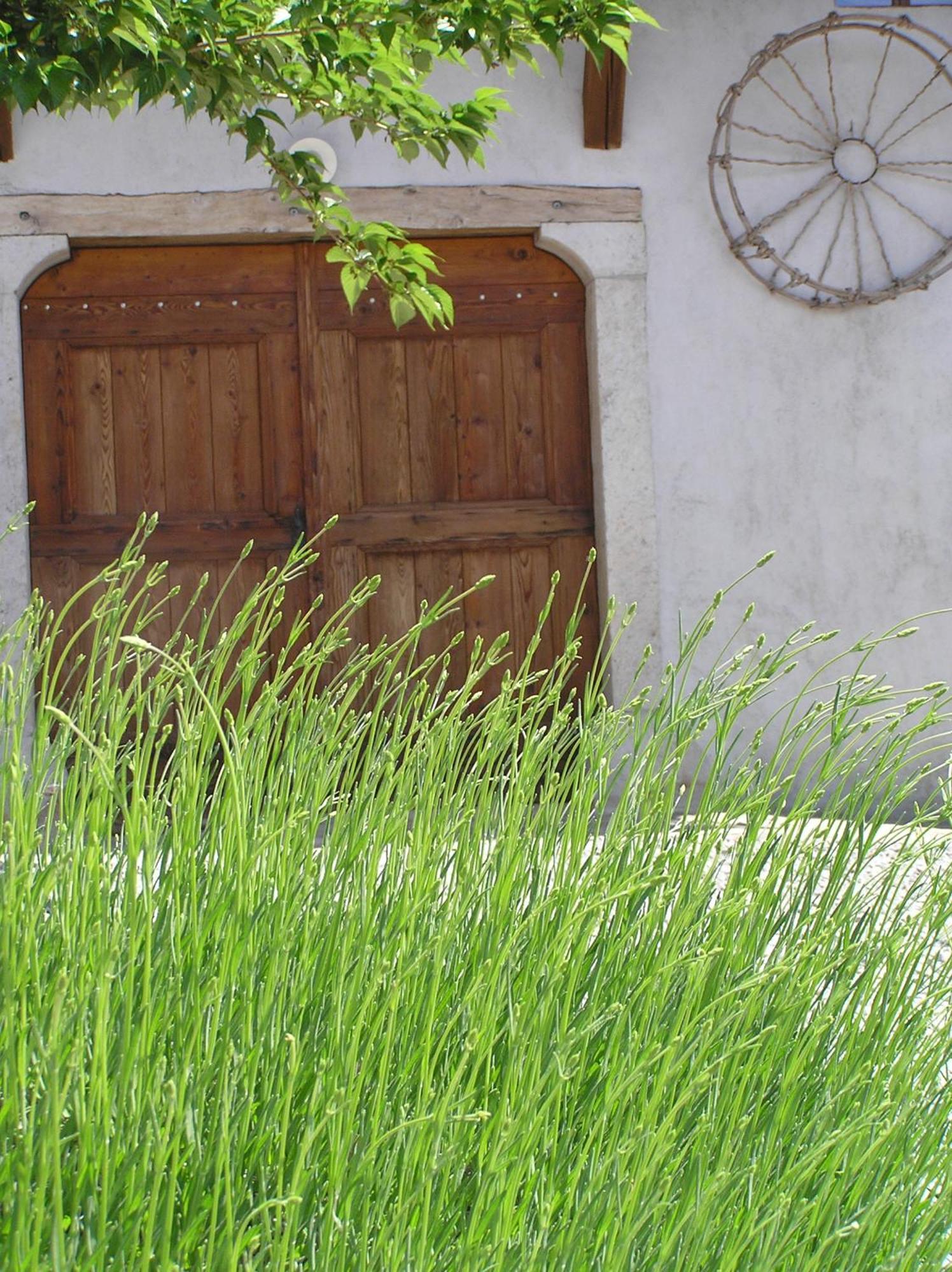 Pliskovica Youth Hostel Exterior photo